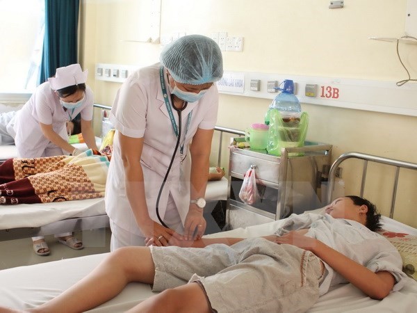 Medical course boosts dengue fever treatment in the south hinh anh 1