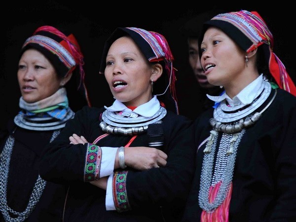 Ethnic group keeps folk songs alive hinh anh 1