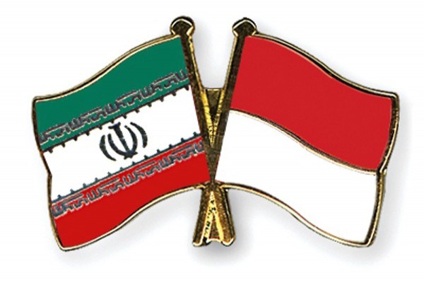 Indonesia, Iran step up multi-faceted cooperation hinh anh 1