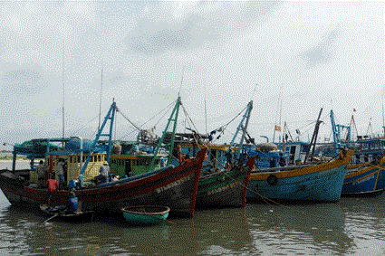 Ba Ria- Vung Tau’s largest fishing port inaugurated hinh anh 1