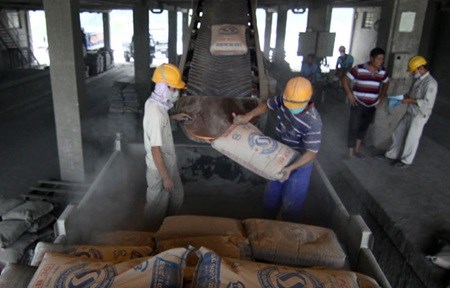 Cement consumption up year-on-year hinh anh 1