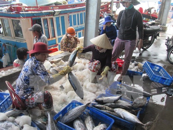 Vietnam targets over 1.2 mln tonnes of fish in Oct-Mar season hinh anh 1