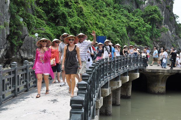 Foreign tourist numbers start to recover hinh anh 1