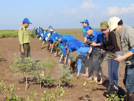 Japan to help HCM City cope with climate change hinh anh 1