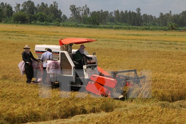 Farmers called to devote greater efforts to national development hinh anh 1