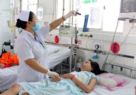 Vietnamese spend millions on dengue fever treatments hinh anh 1