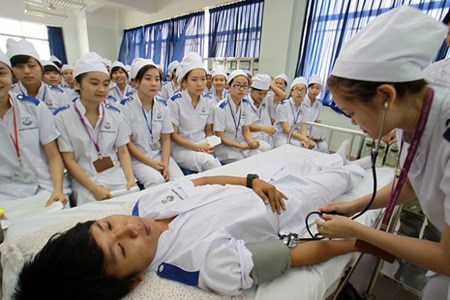 Japan seeks more Vietnamese nurses, orderlies for ageing population hinh anh 1