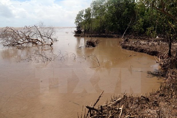 Red River Delta boosts connectivity in climate change response hinh anh 1
