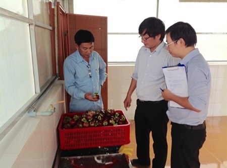 Safety standards maximise profits for fruit farmers hinh anh 1