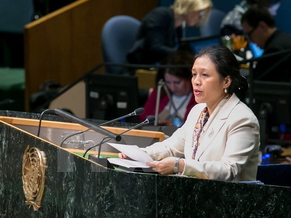 Vietnamese Ambassador urges continued UN reform hinh anh 1
