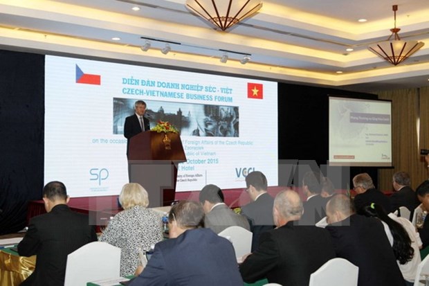 Vietnamese and Czech firms to foster links hinh anh 1