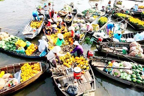 Mekong Delta culture to be promoted in Hanoi hinh anh 1
