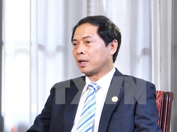 External work helps promote national renewal process: Official hinh anh 1