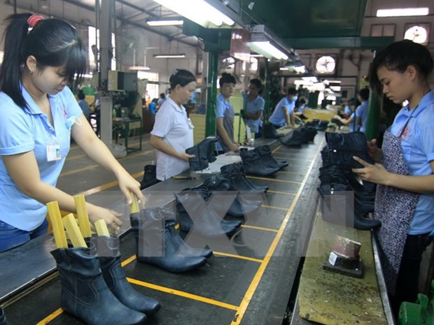 Vietnam’s footwear sector readies for TPP hinh anh 1