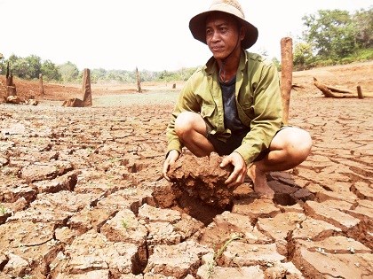 Over 20,800 hectares of crops in Central Highlands dry up hinh anh 1