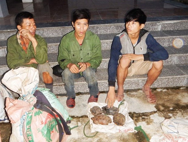 US willing to help Vietnam combat wildlife trafficking hinh anh 1
