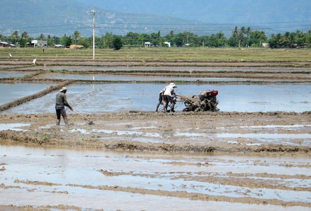 Vinh Long province invites investment in agriculture hinh anh 1