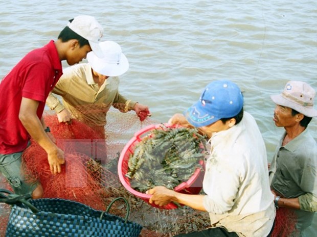 Bac Lieu plans to restructure fisheries sector hinh anh 1