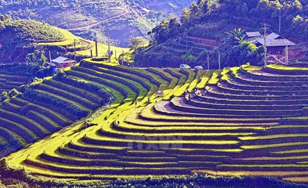 Lao Cai ramps up activities in preparation for 2017 Tourism Year hinh anh 1