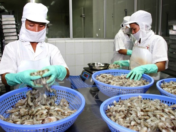 Australia to intensify inspection of imported seafood from VN hinh anh 1