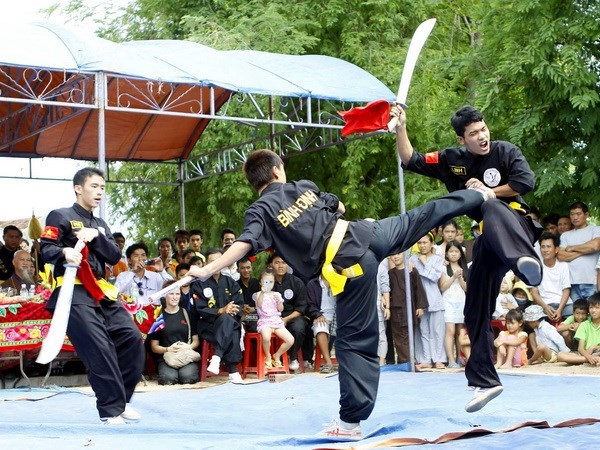 Int’l traditional martial arts festival to kick off in August hinh anh 1