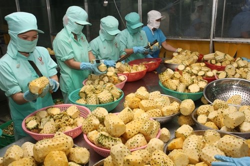 Vietnam’s exports reach 96.83 billion USD in seven months hinh anh 1