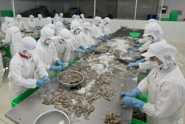 Prospects for Vietnam’s export of frozen raw shrimps to Australia hinh anh 1