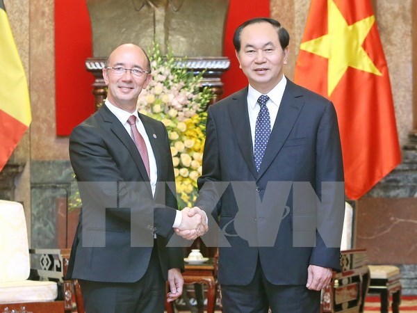 President applauds Wallonie-Bruxelles’s cooperation with Vietnam hinh anh 1