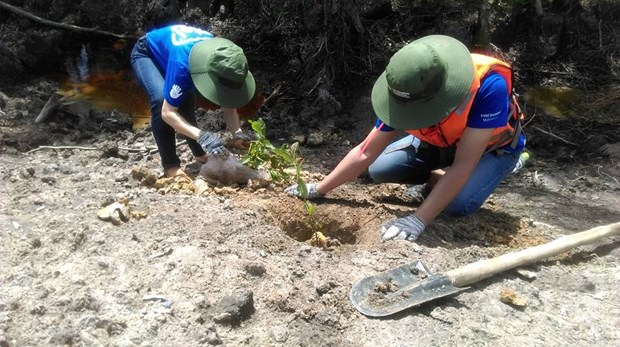 WWF, Intel start wetland reforestation project hinh anh 1