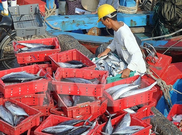 Constant supervision needed in fish death-related compensation hinh anh 1