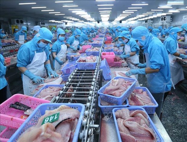 Seafood export takes larger bite out of foreign markets hinh anh 1