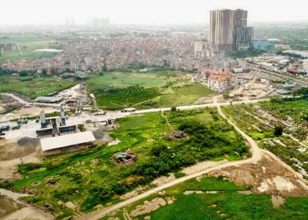 Hanoi asked to propose plan to protect archaeological site hinh anh 1