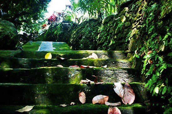 Ancient Loc Yen village seeks ways to promote eco-tourism hinh anh 1