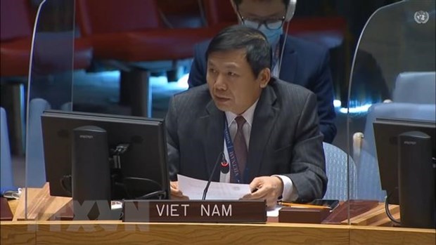 Vietnam’s contributions as a non-permanent member of UNSC hinh anh 2