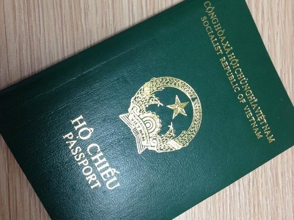 Visas waived for Vietnamese expatriates hinh anh 1