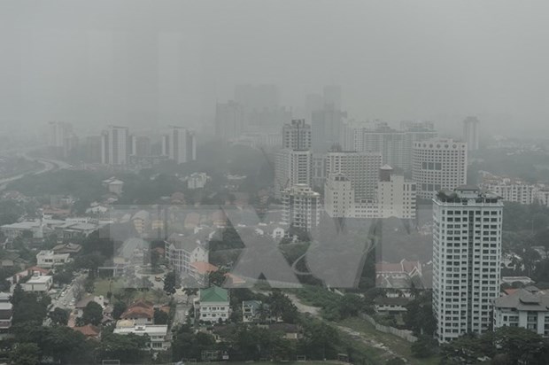 Southeast Asian businesses lose millions of USD due to haze hinh anh 1