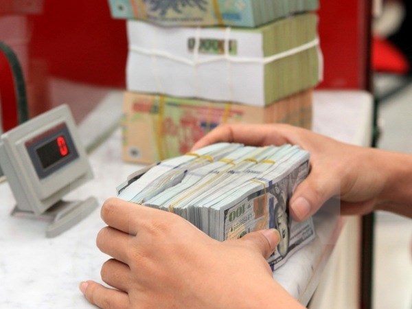Lower USD interest rate does not harm businesses hinh anh 1
