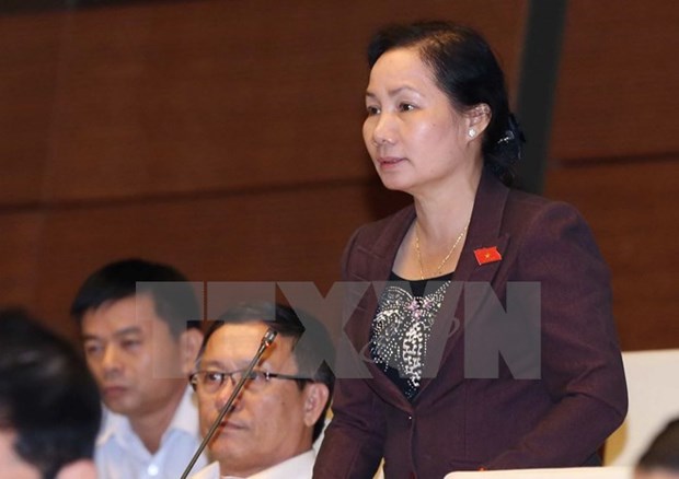 Lawmakers talk draft law on supervision work of elected agencies hinh anh 1