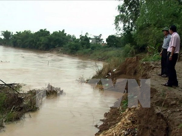 Riverbank erosion affects livelihoods in Quang Nam hinh anh 1