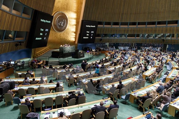 Vietnam welcomes UN resolution calling end to embargo on Cuba hinh anh 1
