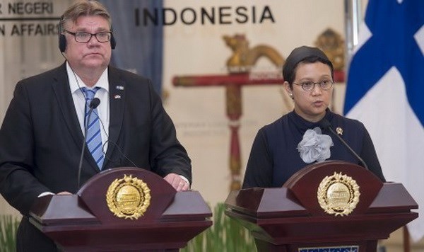 Indonesia, Finland explore renewable energy cooperation hinh anh 1