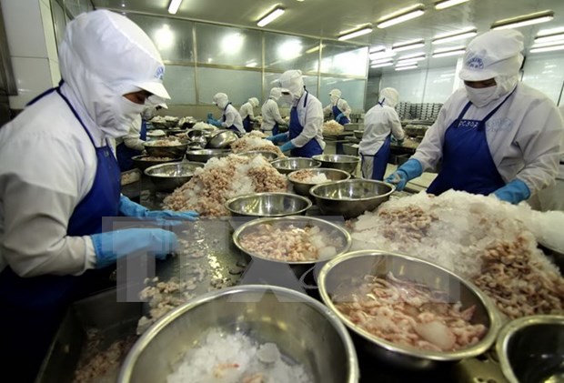 Bac Lieu sees record high seafood exports hinh anh 1
