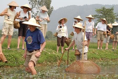 Vietnam ranks best for homestays hinh anh 1