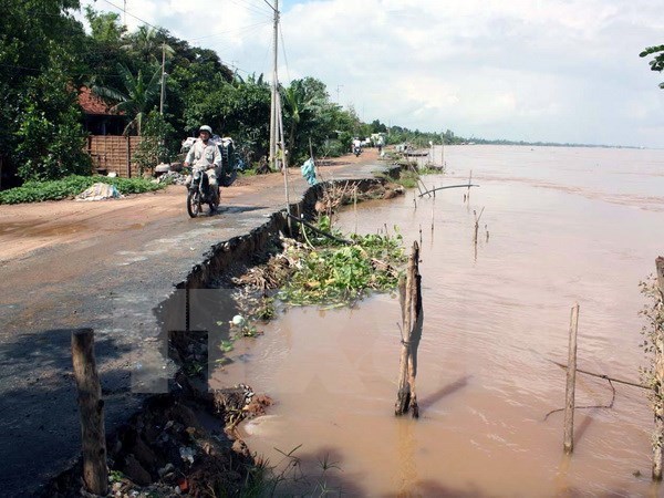 Mekong Delta asked to develop urban areas adaptive to climate change hinh anh 1