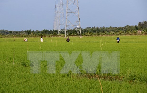 Japan puts stress on agricultural deal with Vietnam hinh anh 1
