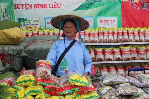 Vietnam-China trade fair opens in Quang Ninh hinh anh 1