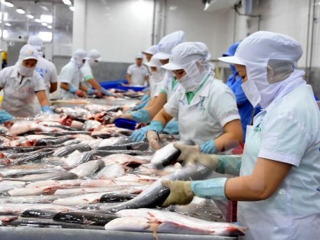 Enterprises have two years to prepare for FTAs hinh anh 1