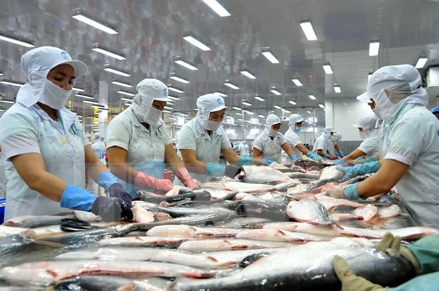 Tra fish industry advised to explore new markets hinh anh 1