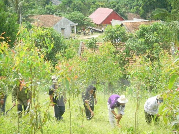 Tuyen Quang keen to develop forests hinh anh 1