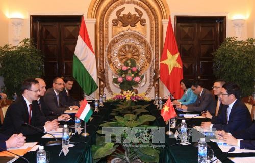Vietnam, Hungary further ties across wide-ranging areas hinh anh 1